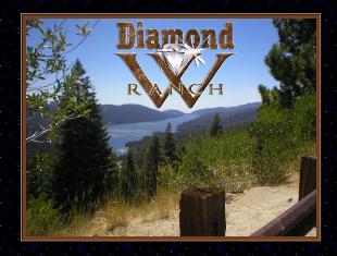 Diamond w ranch